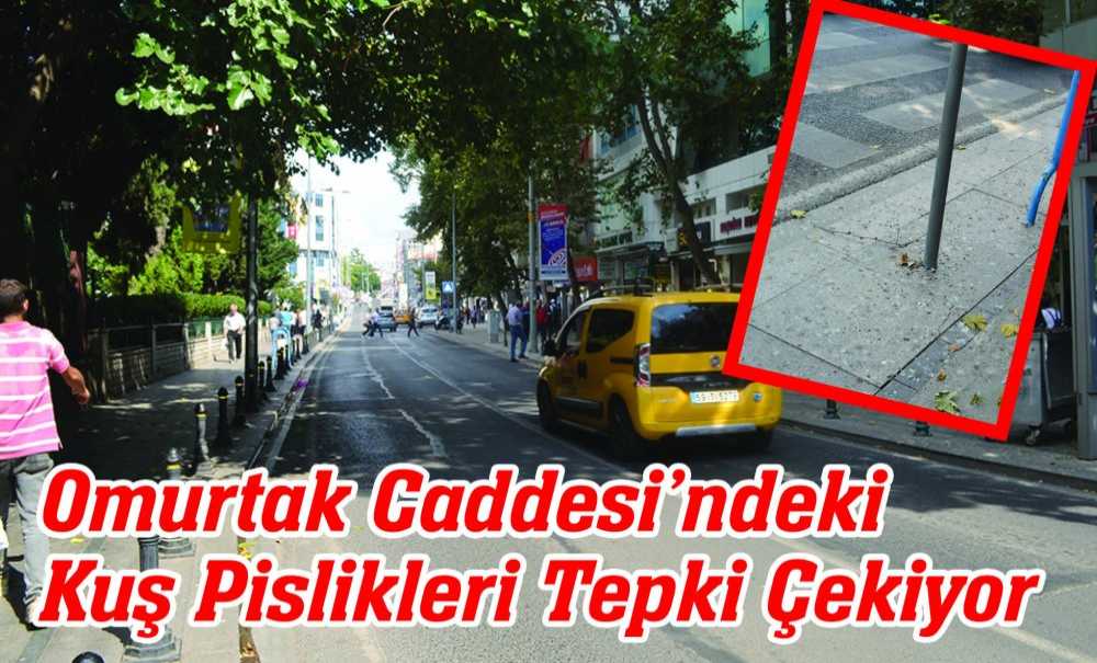 Omurtak Caddesi'ndeki Kuş Pislikleri Tepki Çekiyor