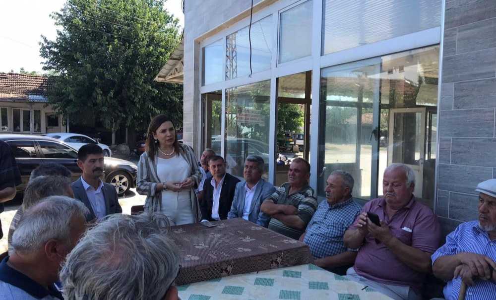 Mhp, Çayır Tırtılı İle İlgili Mücadele Başlattı