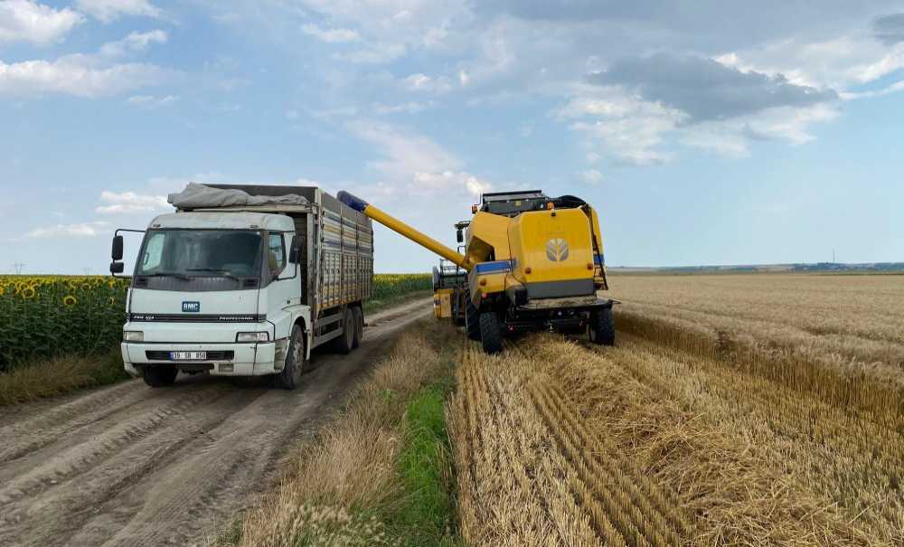 Çorlu'da Buğday Hasadında Sona Doğru