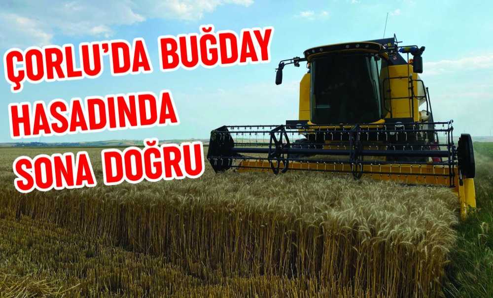 Çorlu'da Buğday Hasadında Sona Doğru