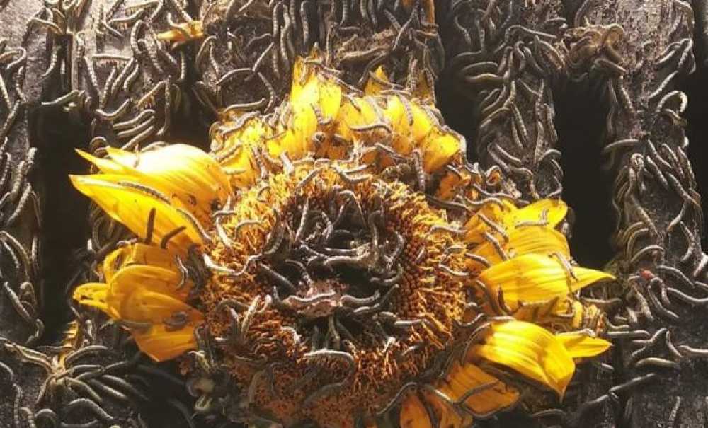 Trakya'da Yangın Var