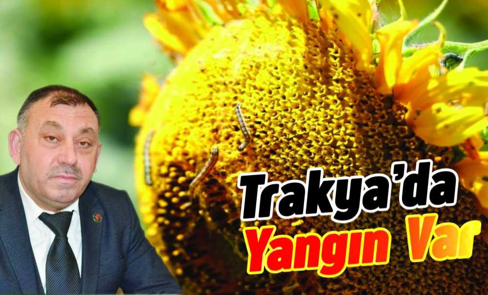 Trakya'da Yangın Var