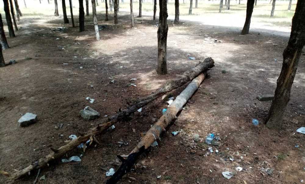 Tema Parkı'nın Kaderi Hiç Değişmiyor