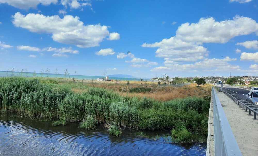 Marmara Denizine Dökülen Dere, Kötü Koku Yayıyor!