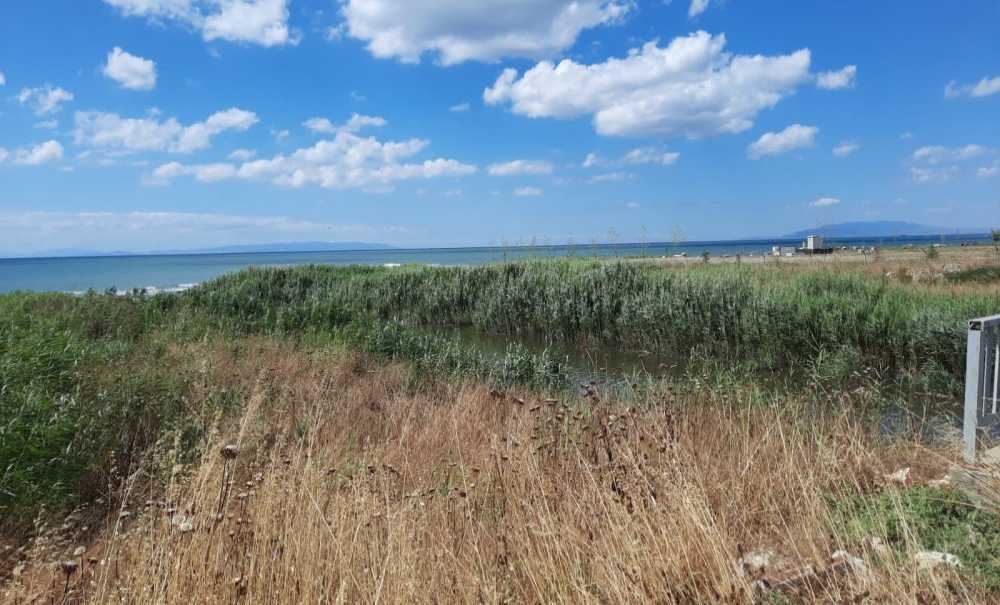 Marmara Denizine Dökülen Dere, Kötü Koku Yayıyor!