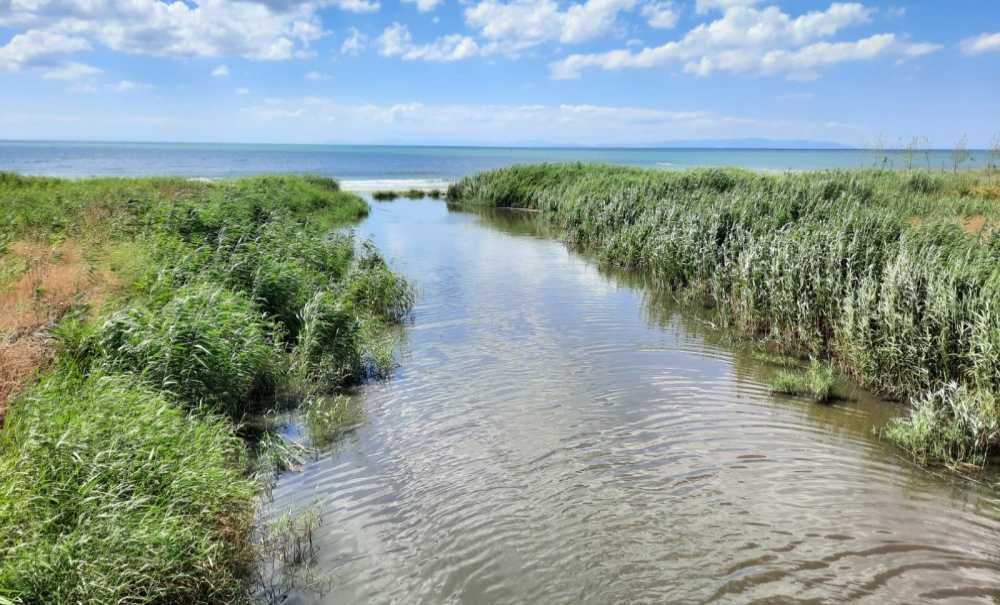 Marmara Denizine Dökülen Dere, Kötü Koku Yayıyor!