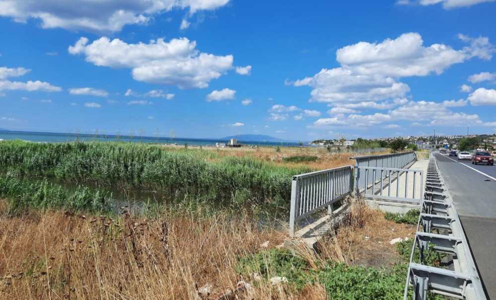 Marmara Denizine Dökülen Dere, Kötü Koku Yayıyor!