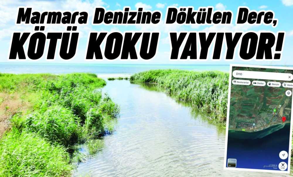 Marmara Denizine Dökülen Dere, Kötü Koku Yayıyor!