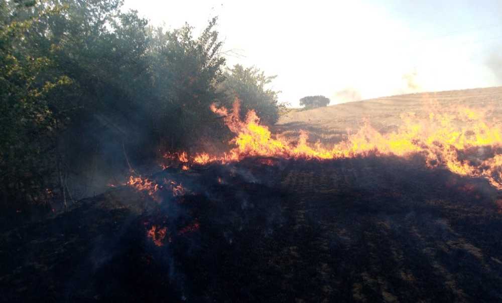 Anız Yangını Korkuttu