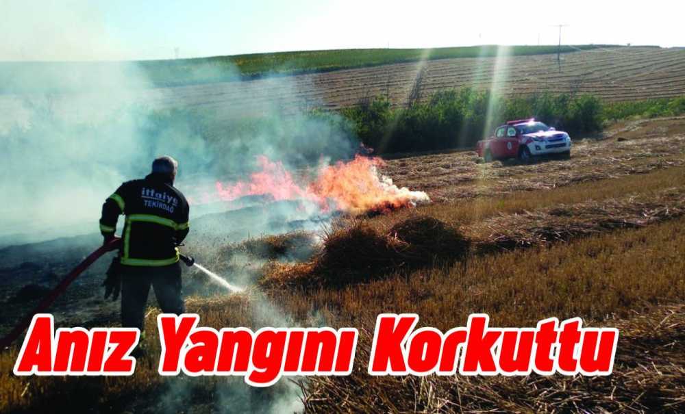Anız Yangını Korkuttu