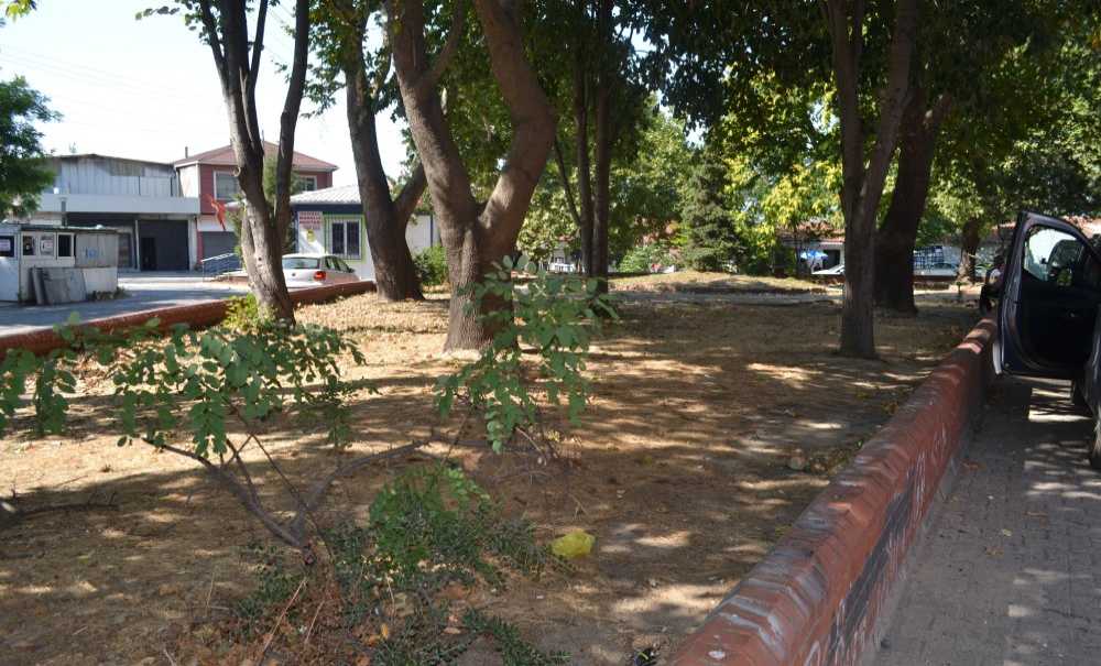 “Park Demeye Bin Şahit İster”