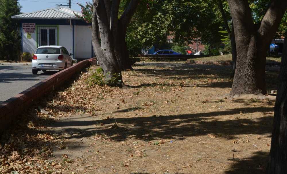 “Park Demeye Bin Şahit İster”