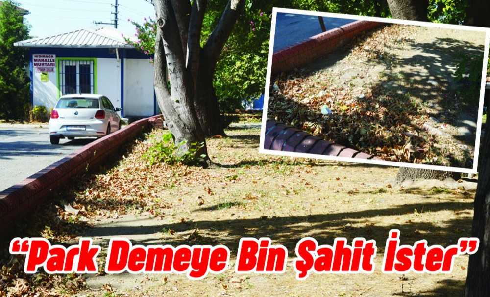 “Park Demeye Bin Şahit İster”
