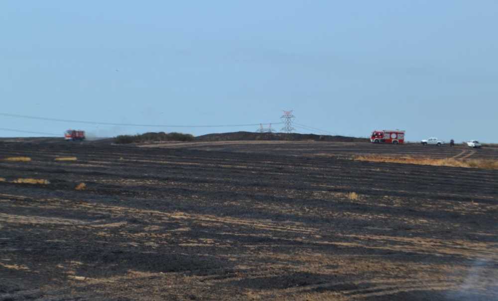 Koca Bir Alan Küle Döndü