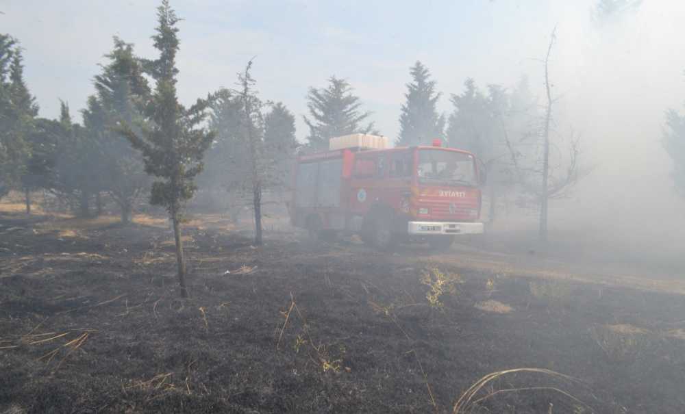 Koca Bir Alan Küle Döndü