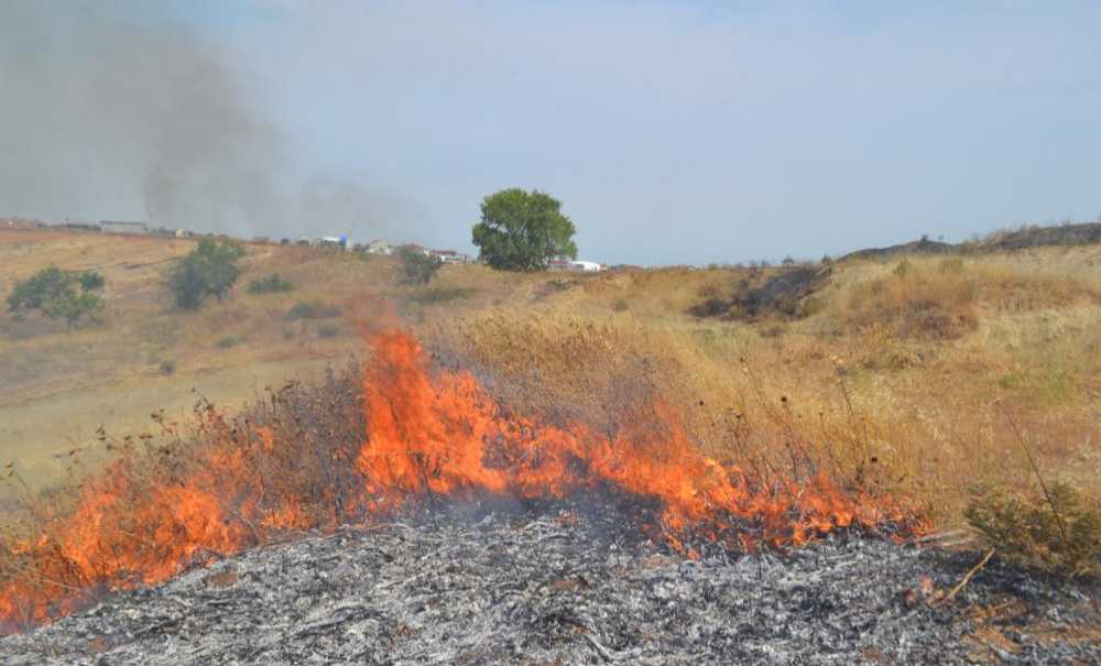 Koca Bir Alan Küle Döndü