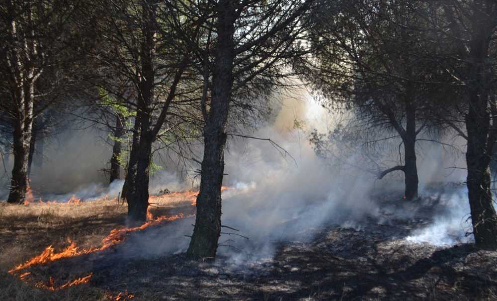 Mühendislik Fakültesi Yerleşkesinde Yangın Paniği