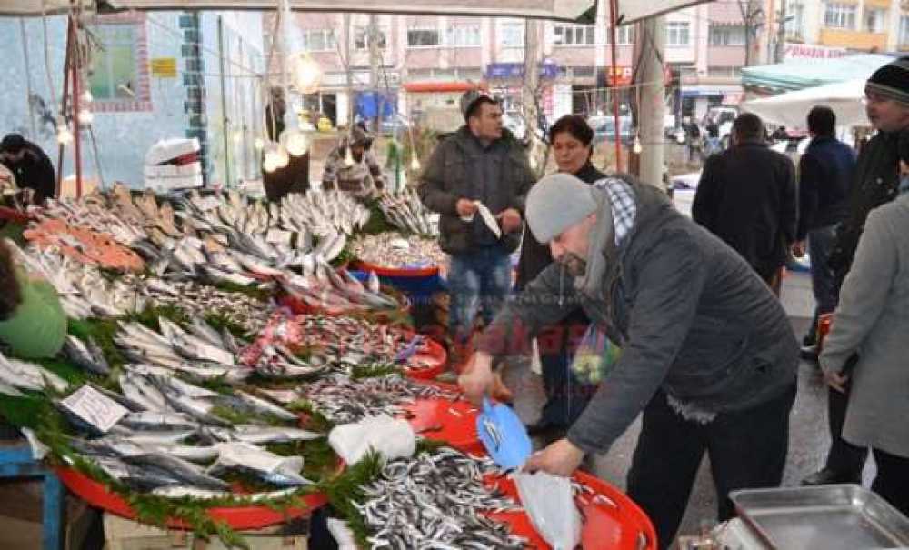 Havalar Soğudu Balık Azaldı