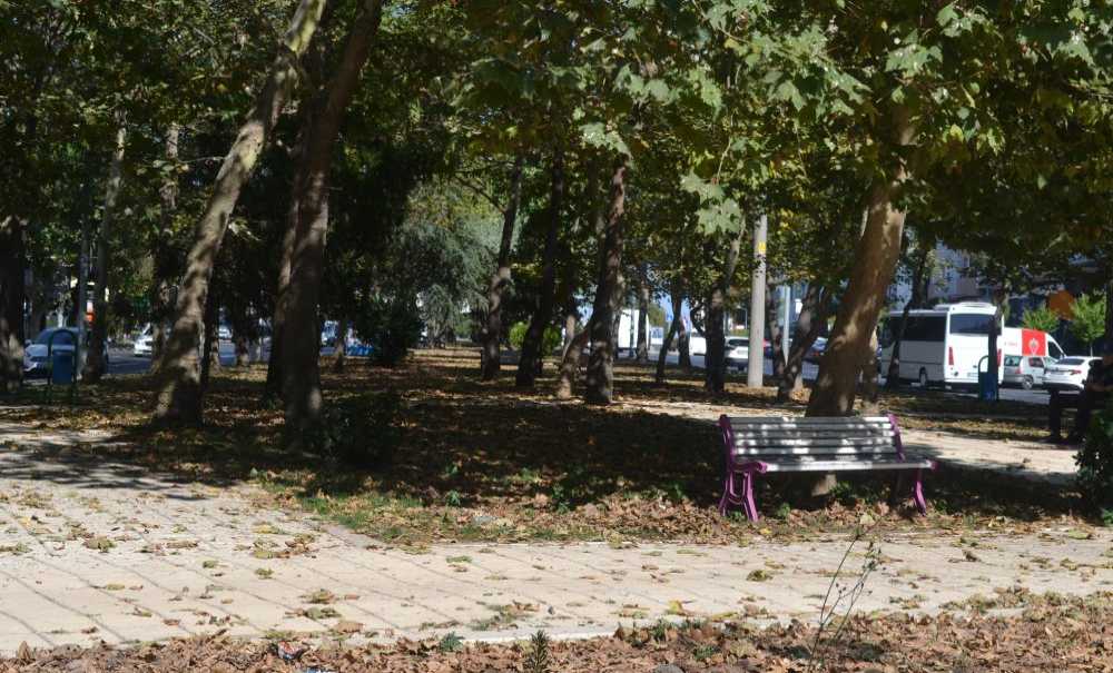 Düşen Yapraklar Hiç Temizlenmiyor Mu?