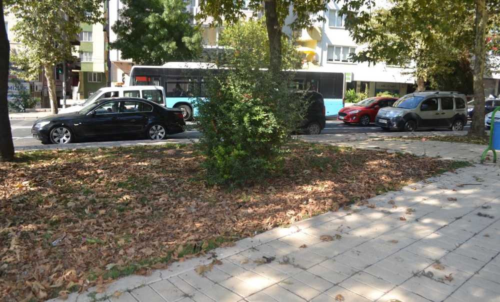 Düşen Yapraklar Hiç Temizlenmiyor Mu?