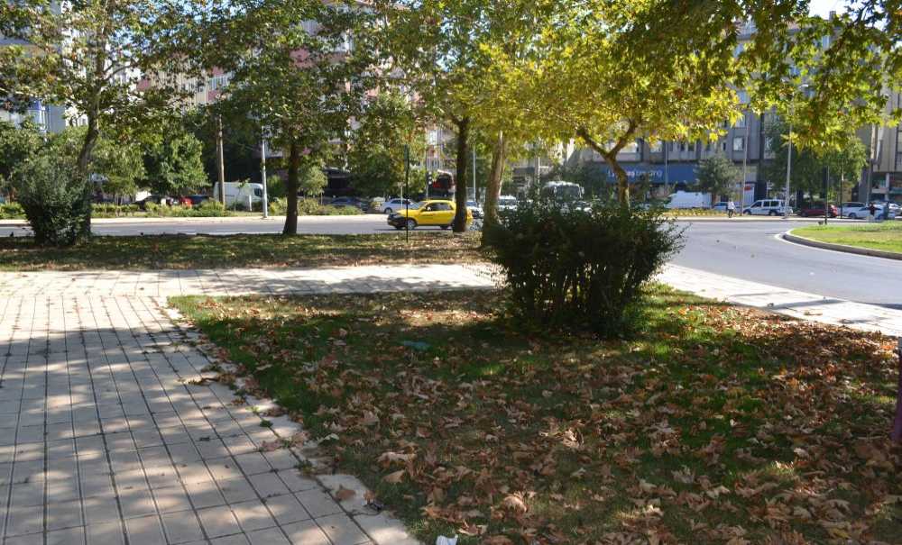 Düşen Yapraklar Hiç Temizlenmiyor Mu?