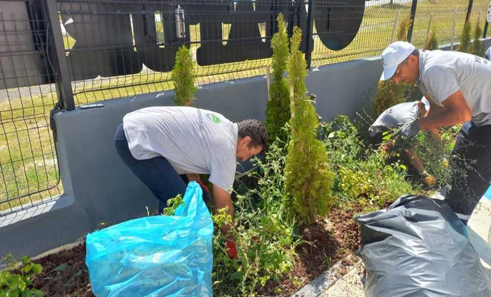 Ergene'de Çalışmalar Dört Koldan Sürüyor