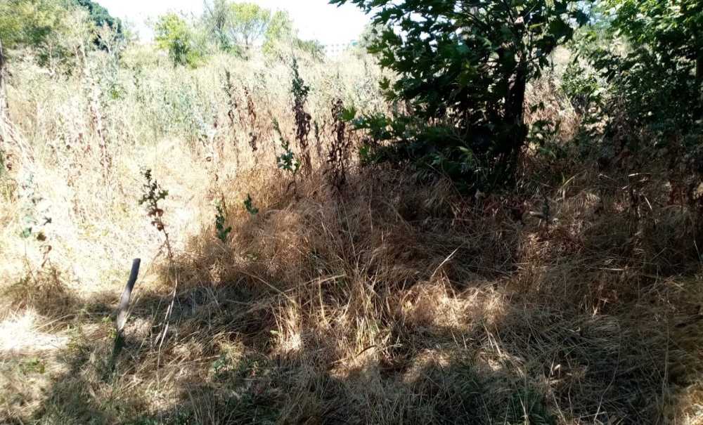 Okul Yapılmıyor Bari Otları Biçilsin