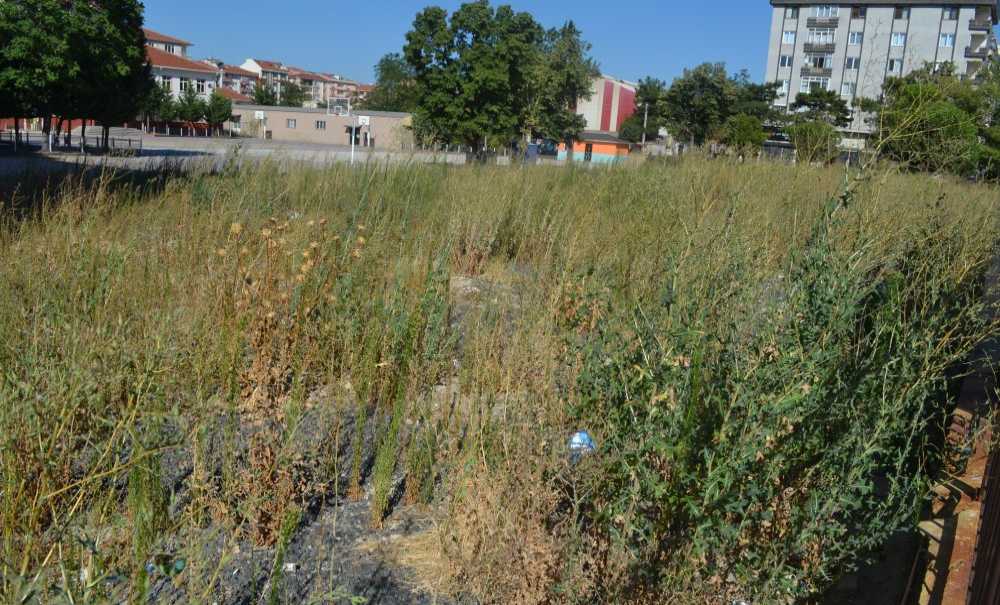 Okul Yapılmıyor Bari Otları Biçilsin