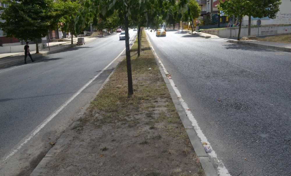 Refüjler Bakım İstiyor