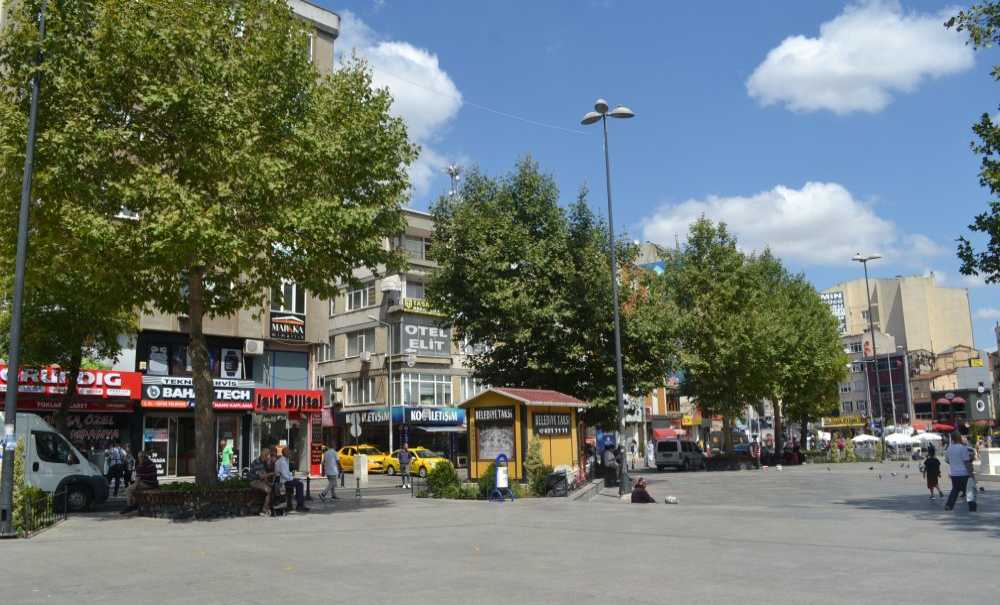 Budanan Ağaçlar 3 Yılda Yenilendi