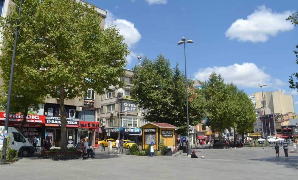 Budanan Ağaçlar 3 Yılda Yenilendi