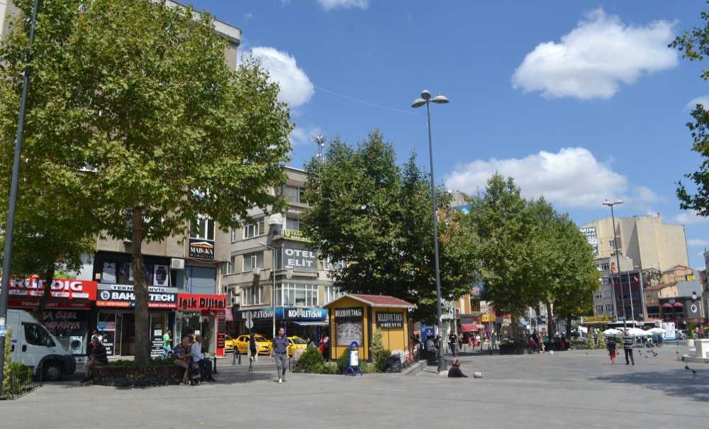 Budanan Ağaçlar 3 Yılda Yenilendi