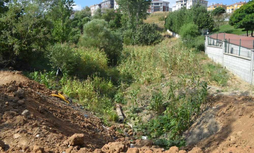 Kuzey Yolu Projesi'nde Çalışmalar Sürüyor