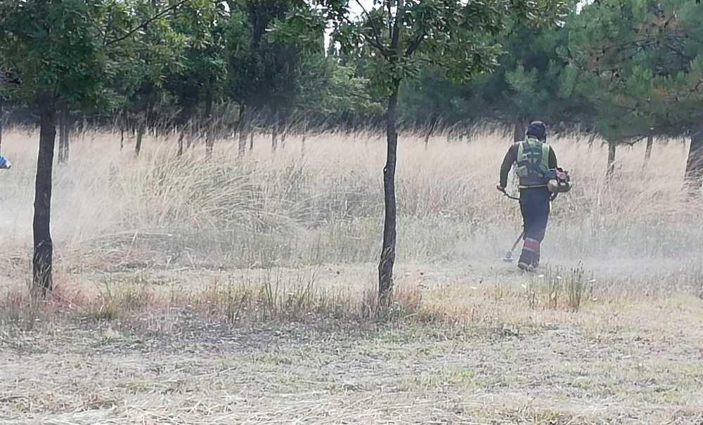 Otlar Biçildi Fakat Etraf Pislik İçinde