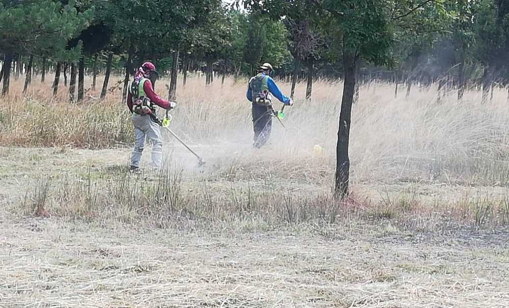 Otlar Biçildi Fakat Etraf Pislik İçinde