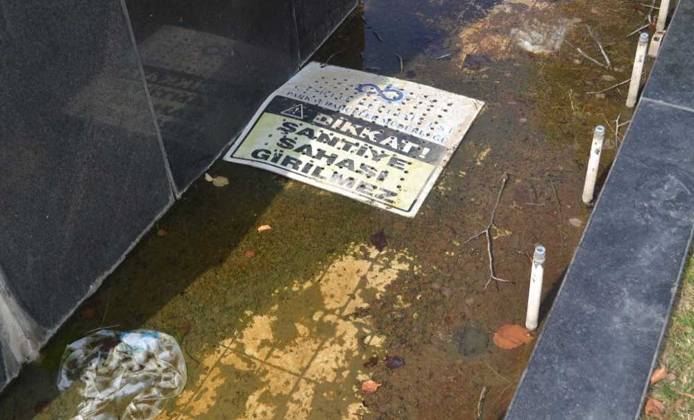 Balkan Anıtı Yine Bakımsız Kaldı!