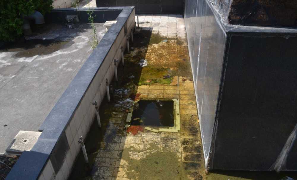 Balkan Anıtı Yine Bakımsız Kaldı!