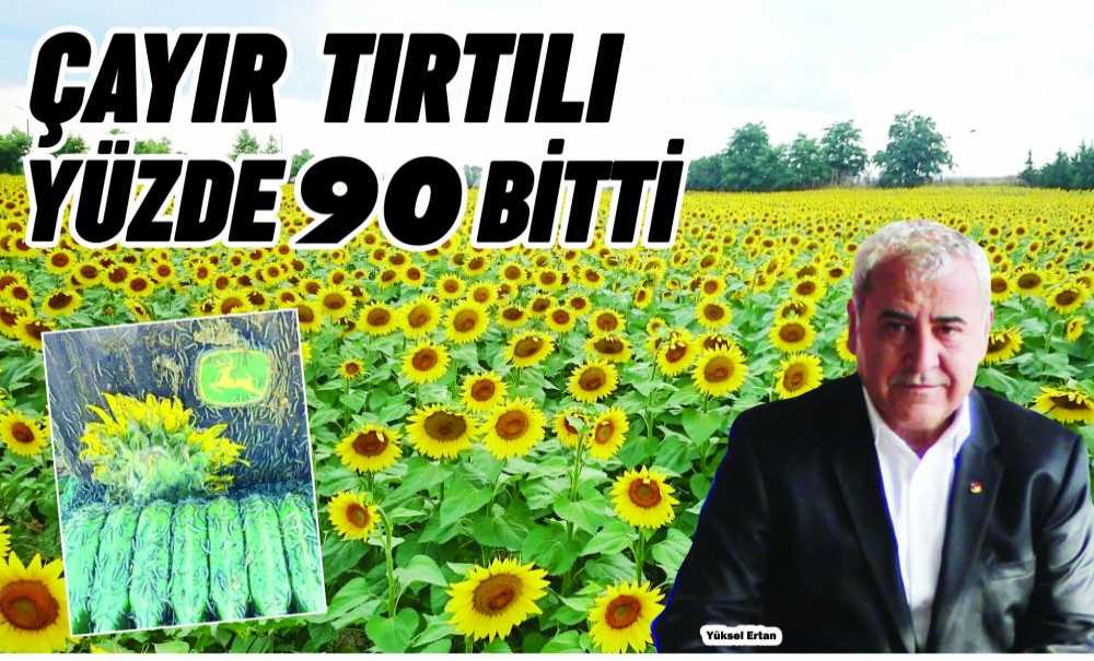 Çayır Tırtılı Yüzde 90 Bitti