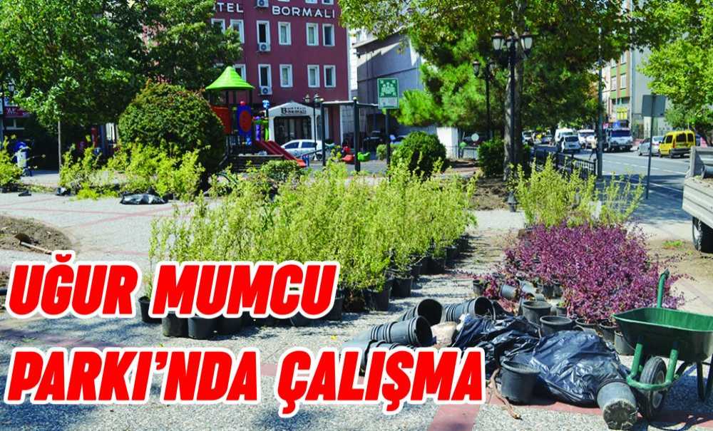 Uğur Mumcu Parkı'nda Çalışma