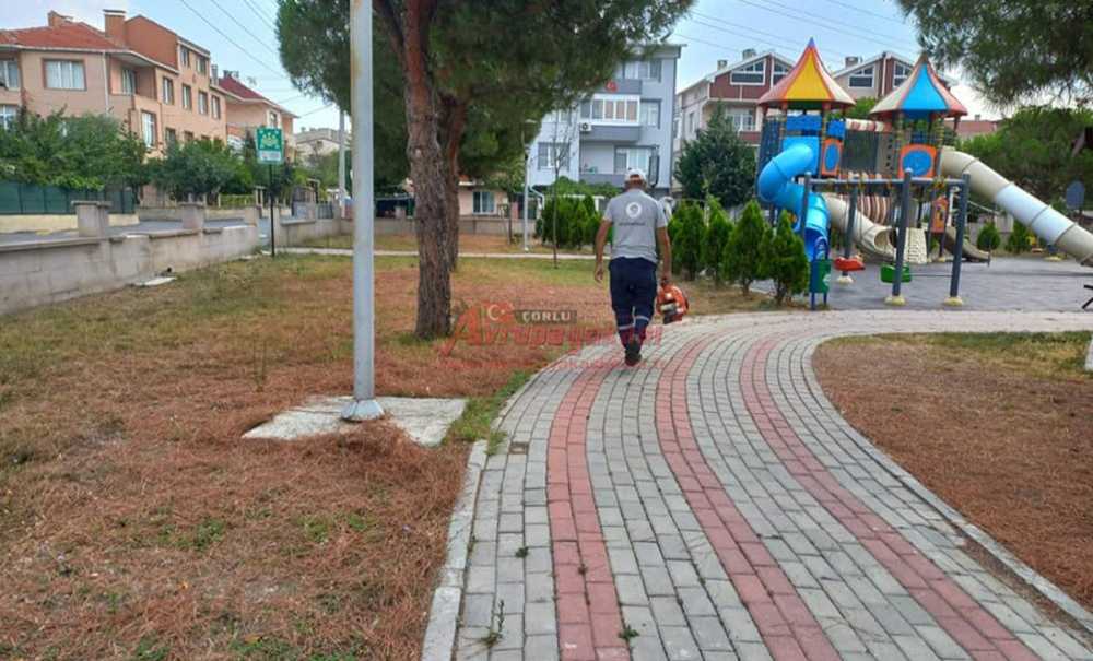 Ergene Belediyesi Ekipleri Çalışmalara Devam Ediyor