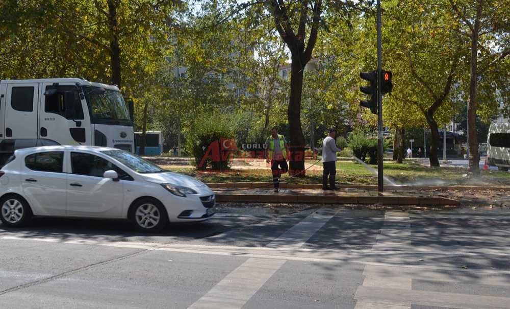Büyükşehir Belediyesi Kaldırımları Temizledi