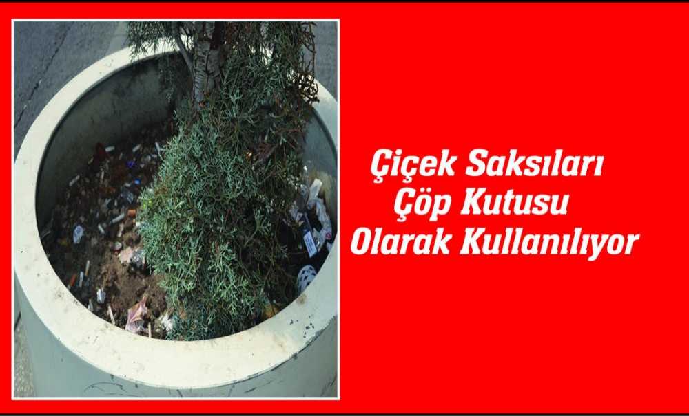 Çiçek Saksıları Çöp Kutusu Olarak Kullanılıyor