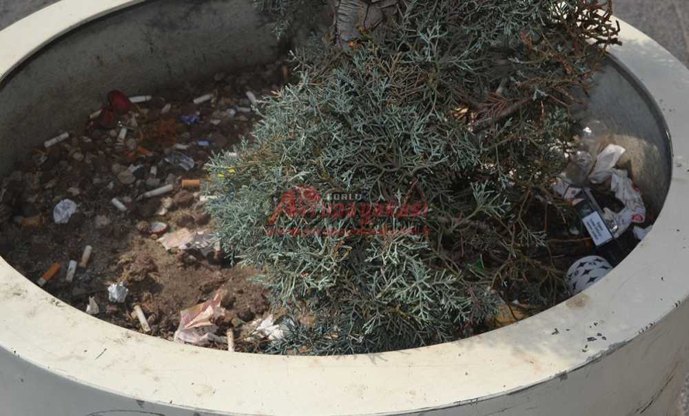 Çiçek Saksıları Çöp Kutusu Olarak Kullanılıyor