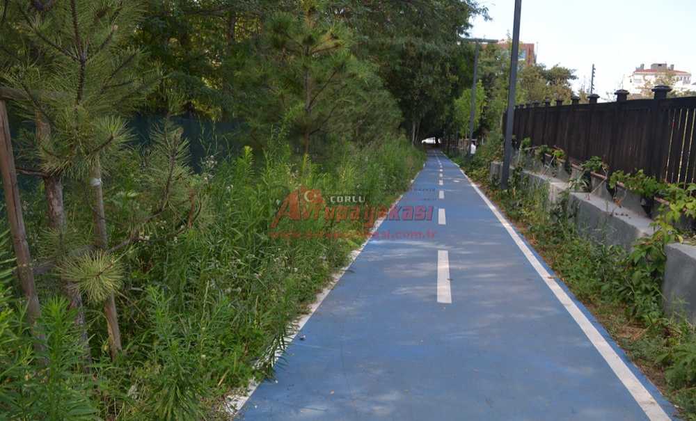 Millet Bahçesinin İmar Değişikliği Planı Askıya Çıktı