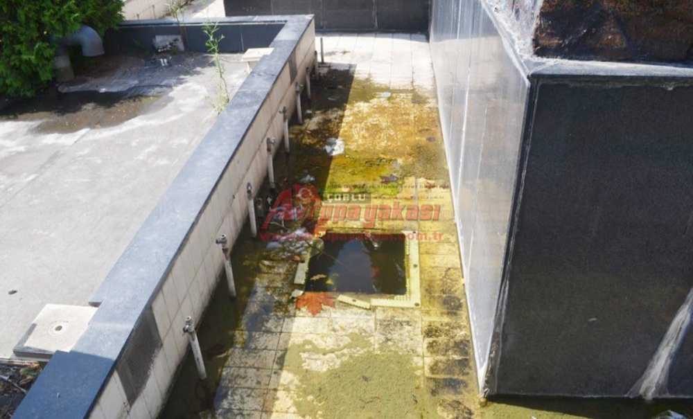 Balkan Anıtı'nın Temizliği Artık İhmal Edilmiyor