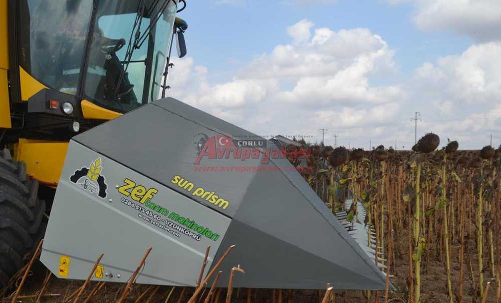 Ayçiçeği Hasadı Başladı