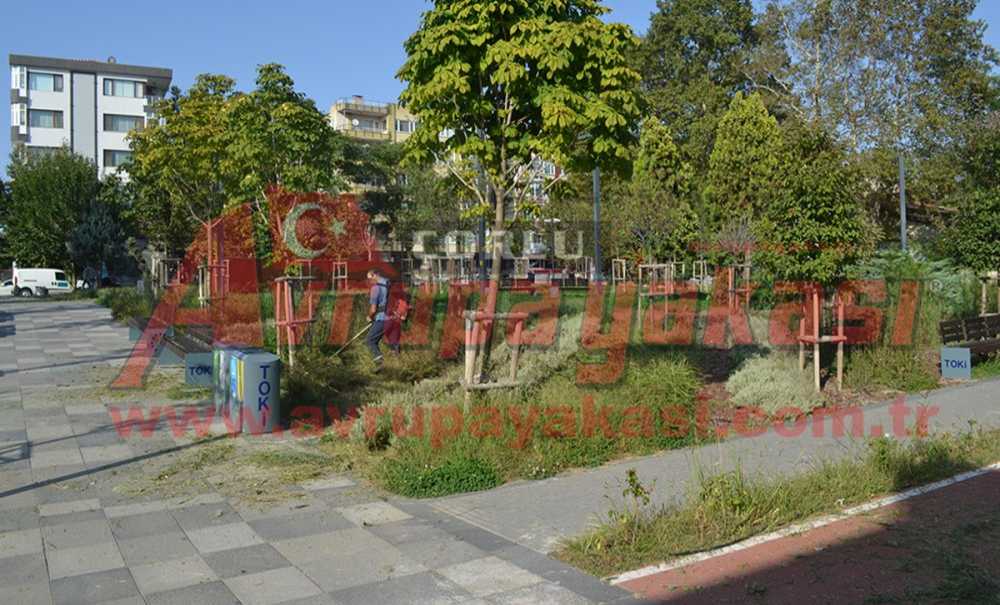 Millet Bahçesinde Uzayan Otlar Biçildi