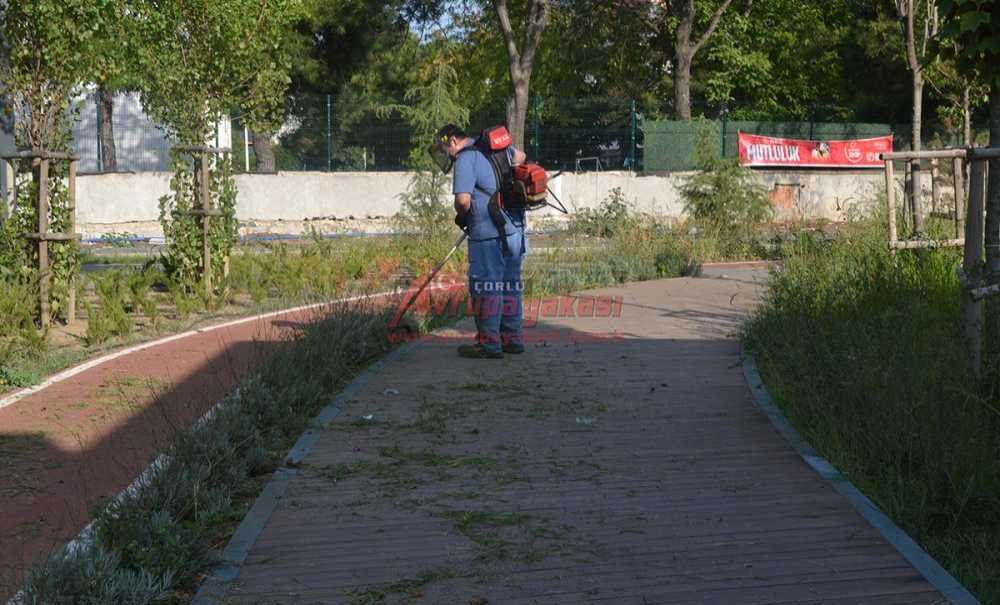 Millet Bahçesinde Uzayan Otlar Biçildi