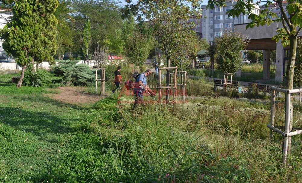 Millet Bahçesinde Uzayan Otlar Biçildi