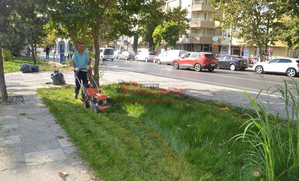 Millet Bahçesinde Uzayan Otlar Biçildi